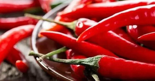 Bibər xərçəngi yox edir İngilis alimləri faktları açdı
