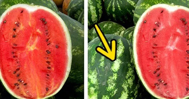 Kimyəvi və təbii meyvə tərəvəzləri necə ayırd etməli? 10 faydalı məsləhət