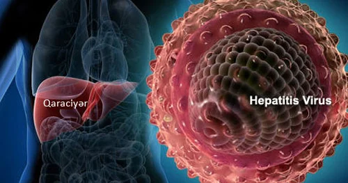 Hepatit B dən özümüzü necə qoruyaq?
