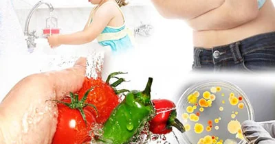 Yayda aktual olan bağırsaq bakteriyalarından necə qorunmalı?