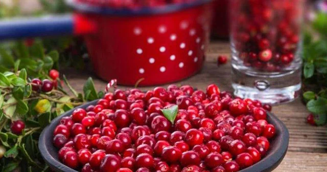 Quşüzümünün orqanizmə 10 faydası