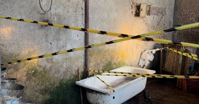 Süfrənizə gələn toyuqla bağlı təhlükə Sex bağlandı!