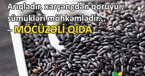 Arıqladır, xərçəngdən qoruyur, sümükləri möhkəmlədir... MÖCÜZƏLİ QİDA