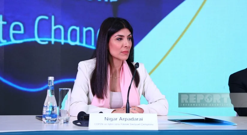 Nigar Arpadarai: İqlim dəyişikliyi dünya iqtisadiyyatından öhdəlik, cəmiyyətlərdən əməkdaşlıq tələb edir