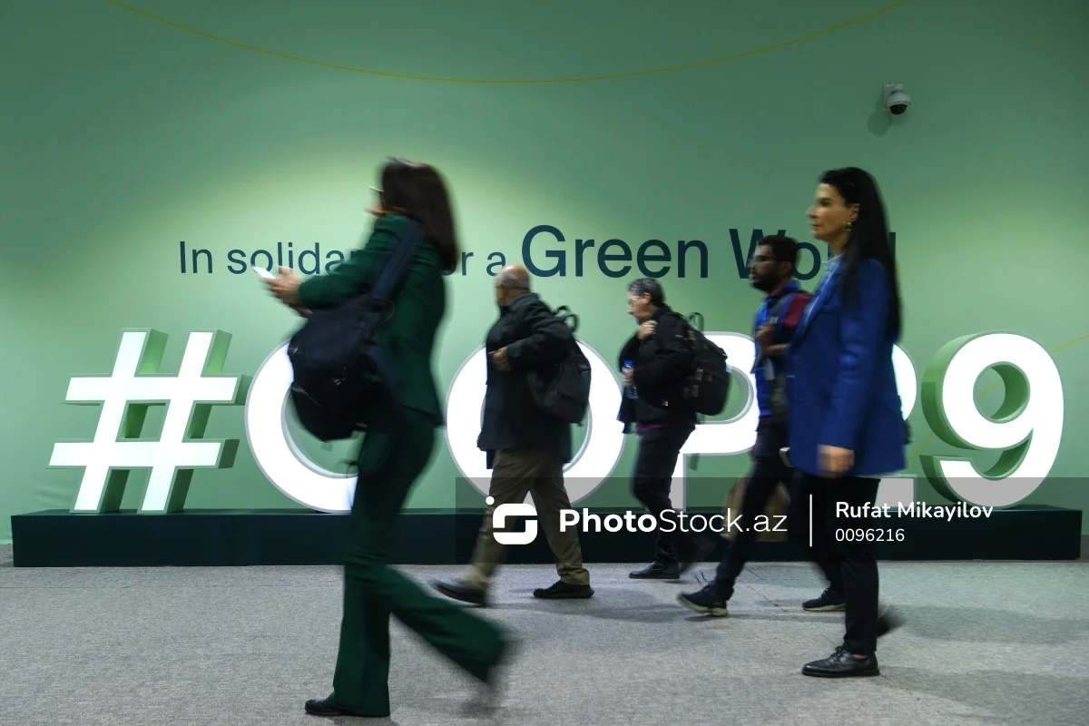 COP29un beşinci günündən FOTOREPORTAJ