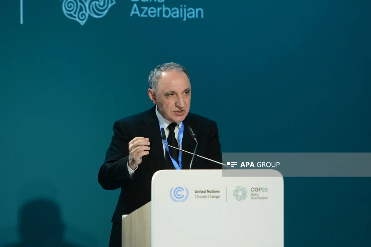 COP29da hüquqmühafizə orqanları rəhbərlərinin iclası FOTOLAR