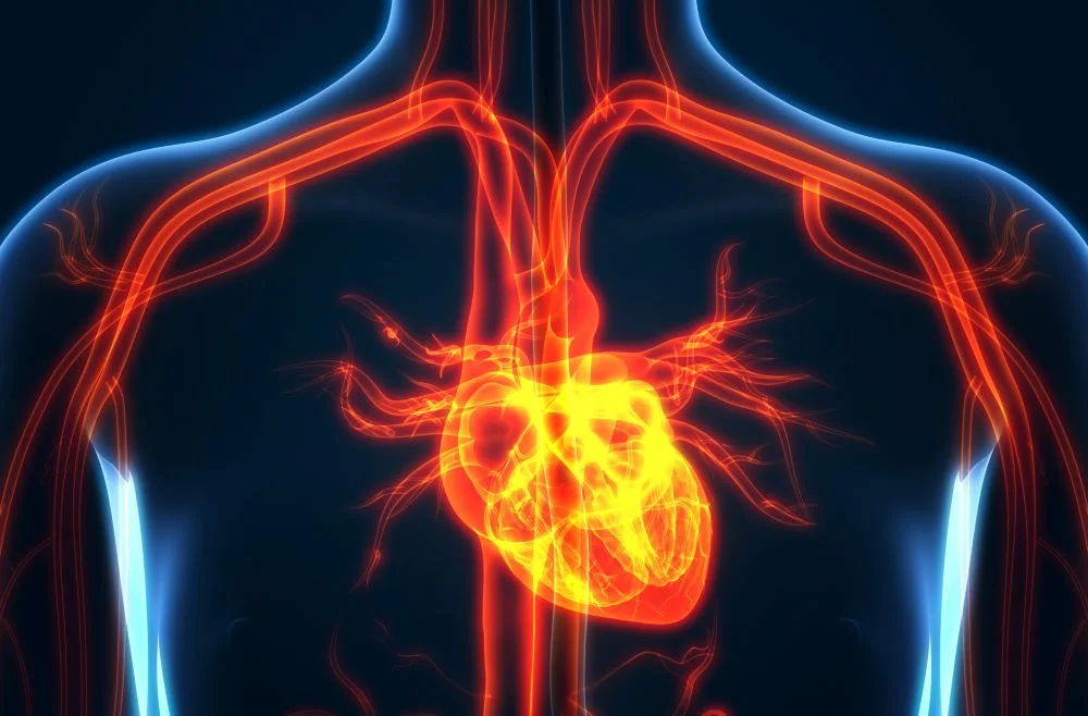 Mitral qapaq çatışmazlığı: Hacı Şahinin əziyyət çəkdiyi xəstəlik ARAŞDIRMA