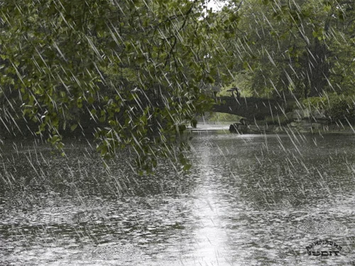 Hava şəraiti qeyrisabit keçəcək XƏBƏRDARLIQ