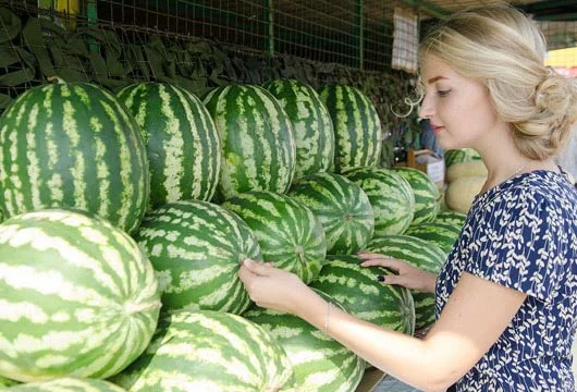 Qarpızı alanda kəsdirməyin! ZİYANLARI