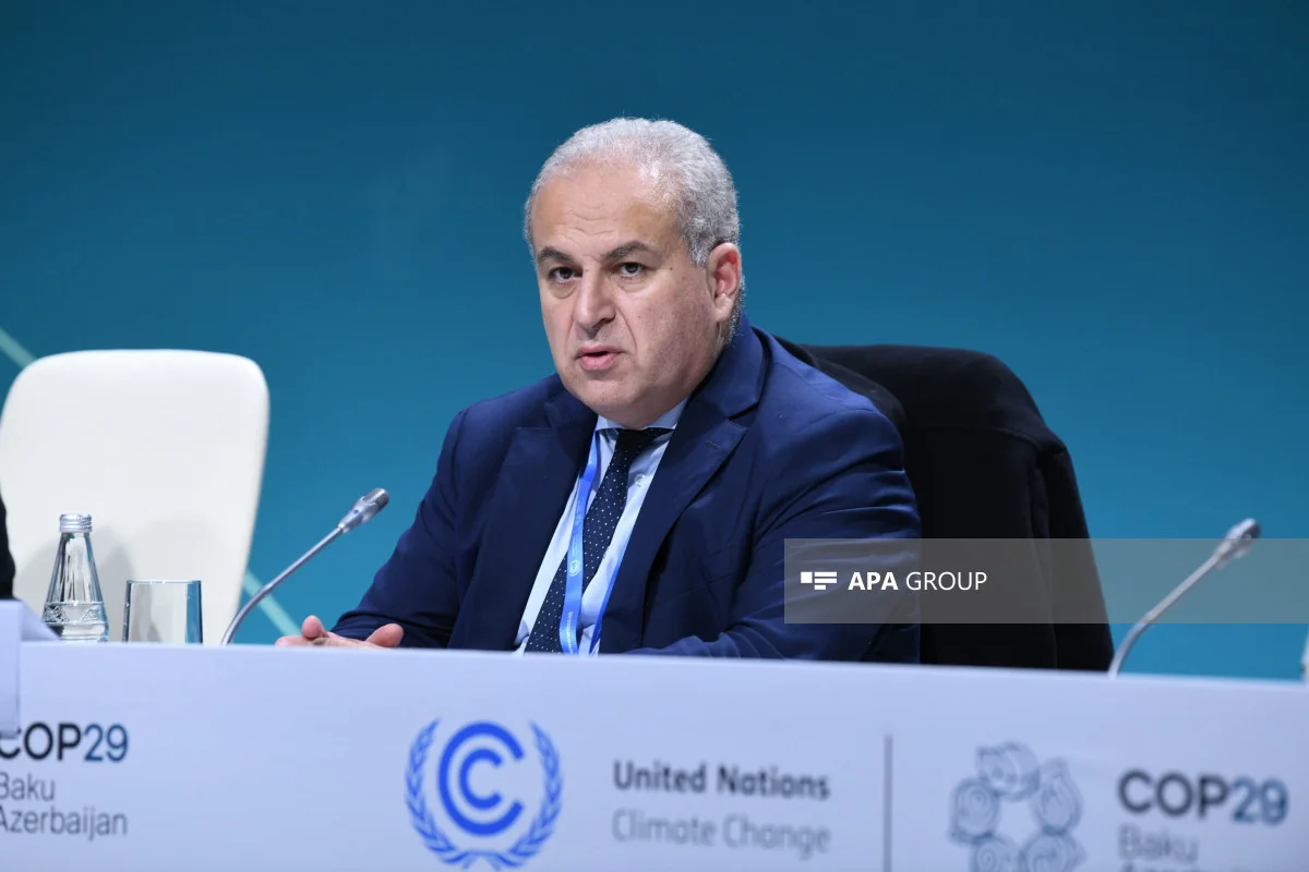 CCPA baş direktoru: COP29un bir hissəsi olmaqdan çox şadıq