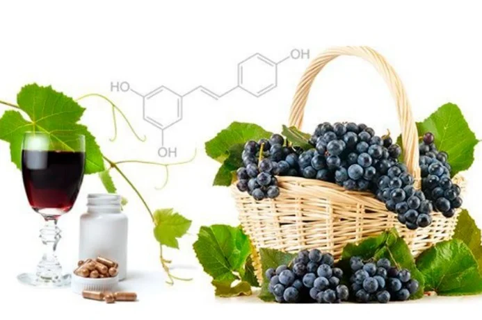 RESVERATROL nə üçün xeyirlidir? Qırmızı şərab və üzümdə daha çoxdur