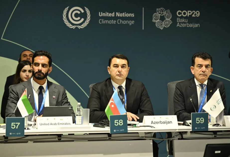 COP29 çərçivəsində Mədəniyyət Nazirlərinin 2ci Yüksək Səviyyəli Görüşü təşkil edilib AZƏRTAC