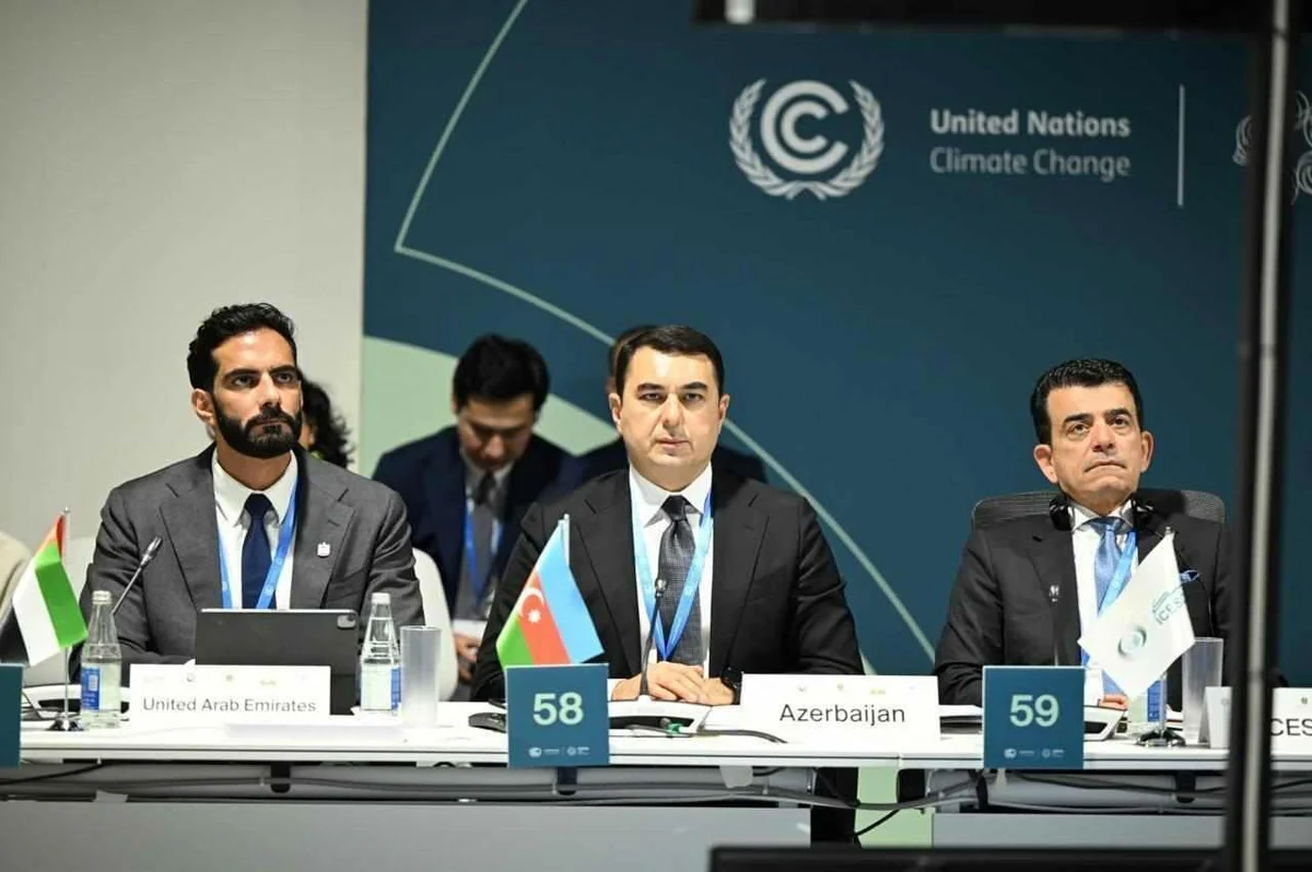 COP29 çərçivəsində Mədəniyyət Nazirlərinin 2ci Yüksək Səviyyəli Görüşü keçirildi Foto