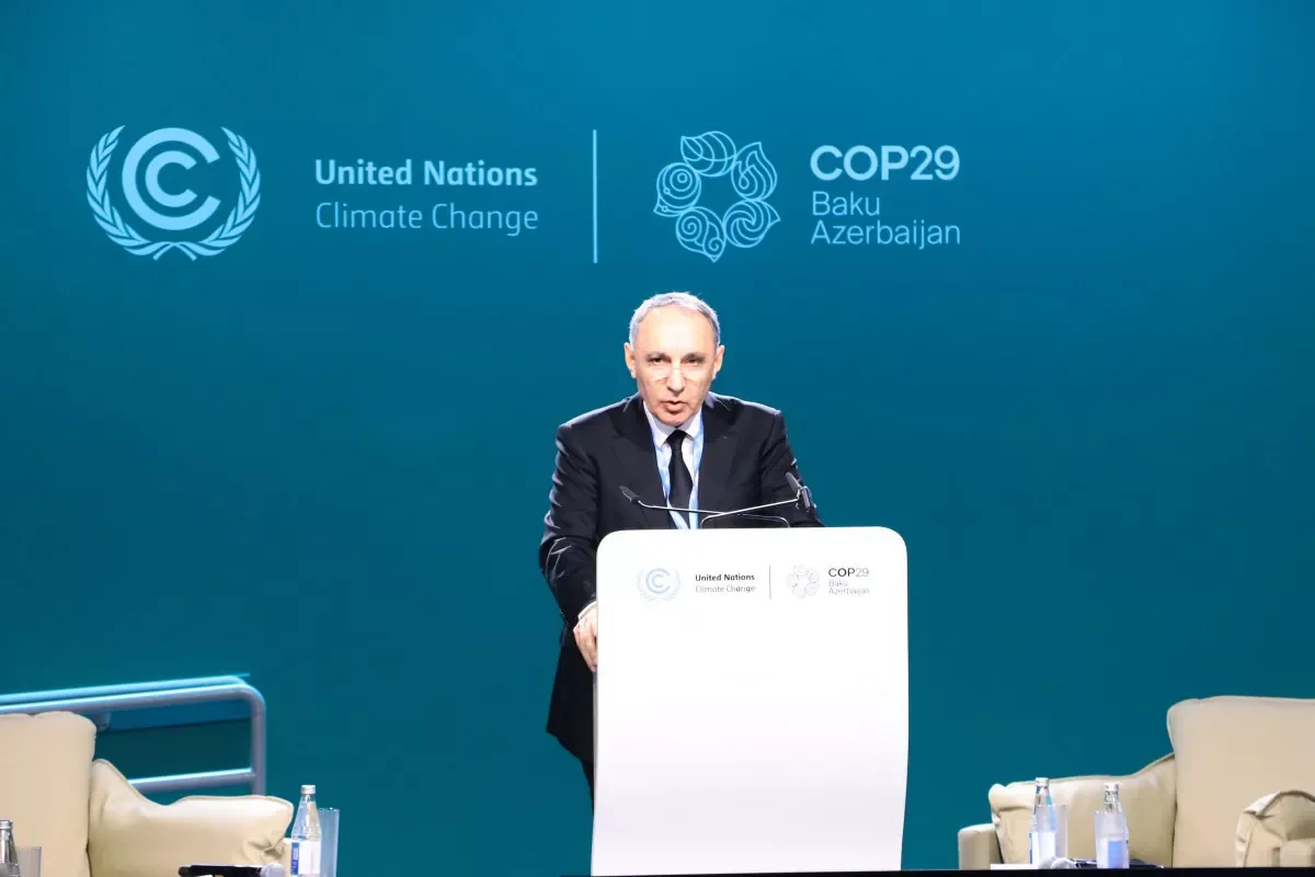 На COP29 прошла сессия о роли правоохранительных органов в борьбе с изменением климата