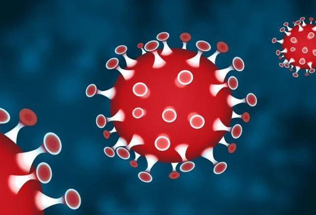 Bizi öldürən infeksiyalar. Koronavirus bunların yanıda toya getməlidir