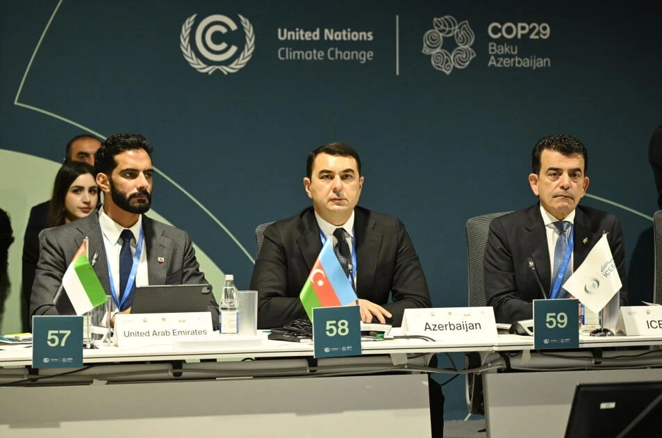 COP29 çərçivəsində Mədəniyyət Nazirlərinin 2ci Yüksək Səviyyəli Görüşü təşkil edilib FOTO