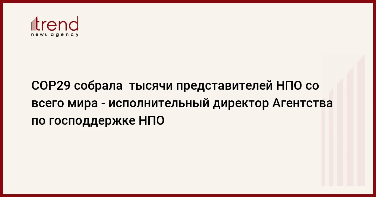 COP29 собрала тысячи представителей НПО со всего мира исполнительный директор Агентства по господдержке НПО