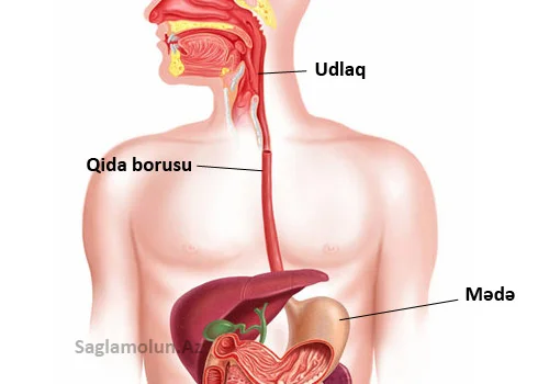 Udma zamanı çətinlik çəkirsiniz? Dərhal həkimə müraciət edin!