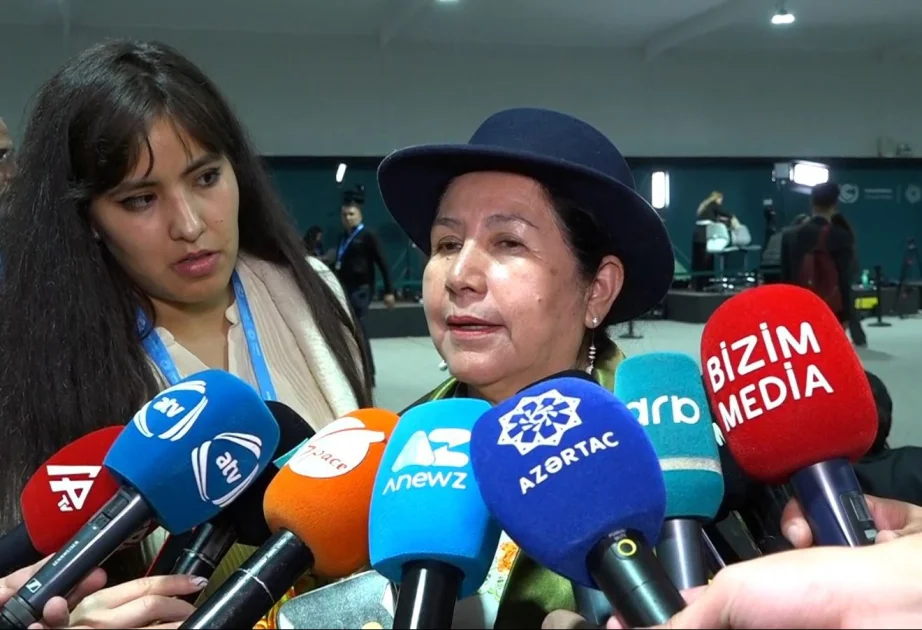 Boliviyanın xarici işlər naziri: COP29da mühüm dəyişikliklərə nail ola bilməyimiz çox vacibdir AZƏRTAC