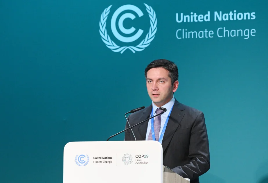 COP29da “Beynəlxalq iqlim təşəbbüslərinin tamamlayıcılığı və davamlılığı” mövzusunda dəyirmi masa keçirilib AZƏRTAC