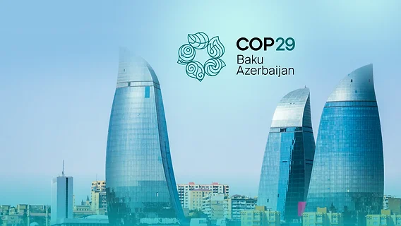 COP29 dizayn və brendinqini həyata keçirən Azərbaycanlılar kimdir? VİDEO