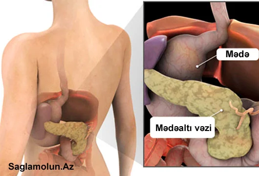 Mədəaltı vəzinin sağlam qalması üçün 5 MƏSLƏHƏT