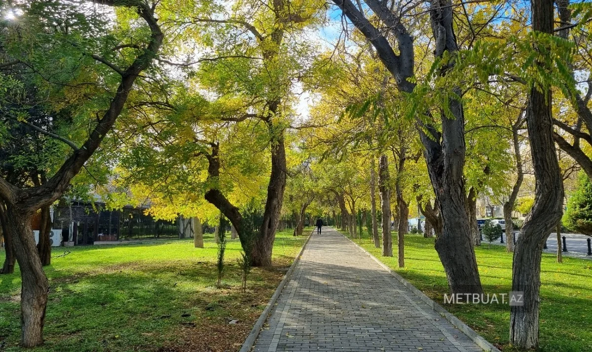 Qızılı rəngə bürünmüş Bakı FOTOREPORTAJ