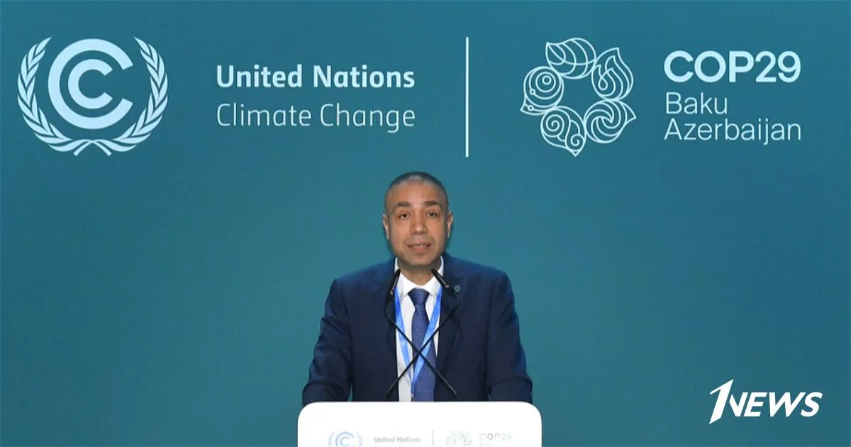 Эльнур Солтанов: Председательство COP29 привержено продвижению принципов справедливого перехода на низкоуглеродную экономику Новости