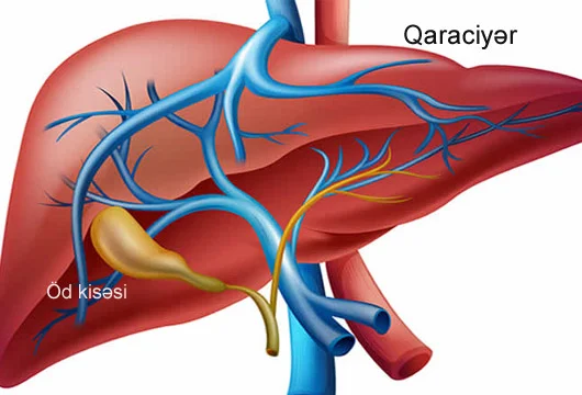 Öd kisəsinin sağlamlığı üçün FAYDALI RESEPT