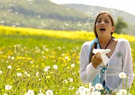 Pollinoz bitki tozcuqlarına qarşı allergiya