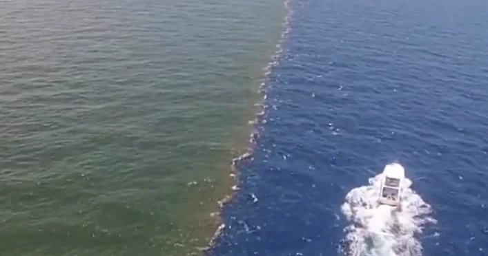 Место встречи реки и залива ВИДЕО