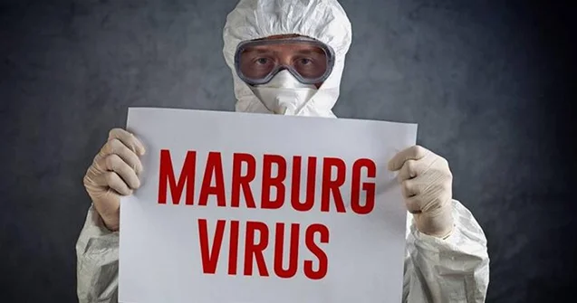 Bu ölkədə yeni virus YAYILIR
