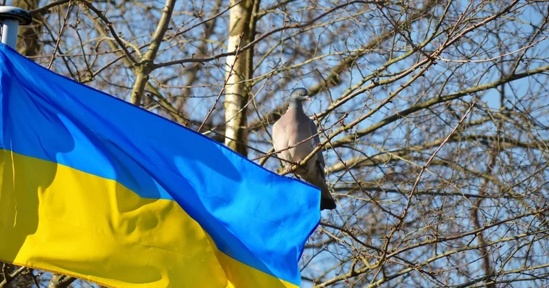 В Польше ужесточают правила поддержки украинцев