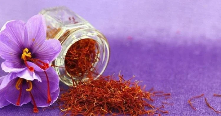 Zəfəranın möcüzəvi təsiri ÜZƏ ÇIXDI