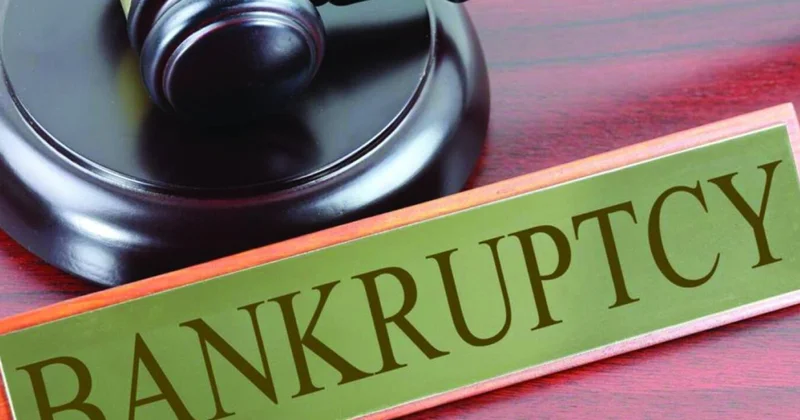 Avropa İttifaqında yeni biznes qeydiyyatları və müflisləşmələrin sayı artıb