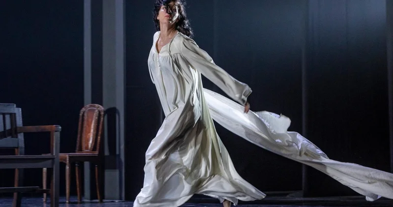 Режиссеры израильского и французского театров показали Анну Каренину на бакинской сцене ФОТО