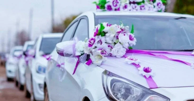 Toy karvanlarında ölüm...