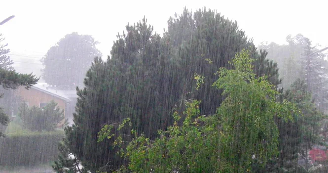 Завтра в некоторых регионах Азербайджана ожидаются ливни