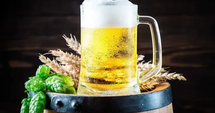 Pivə kişiləri qadına çevirir? Alimlər CAVABLANDIRDI