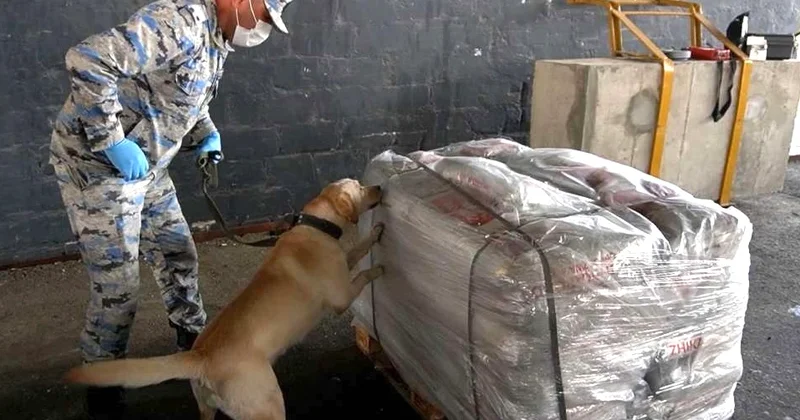 Gömrük 456 kq heroin aşkarladı