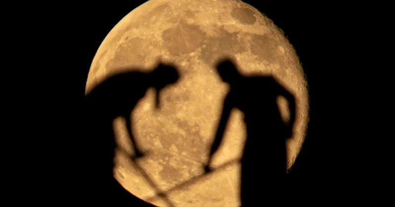 Ayın içində nə var?