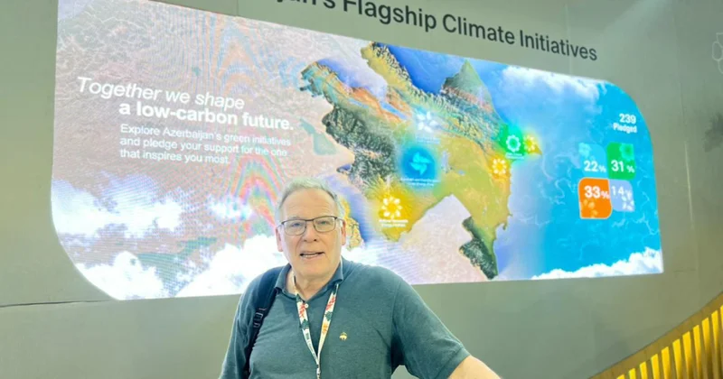 Nyu York Universitetinin professoru: Kənd təsərrüfatı üçün meşələrin qırılmasının qarşısı alınmalıdır