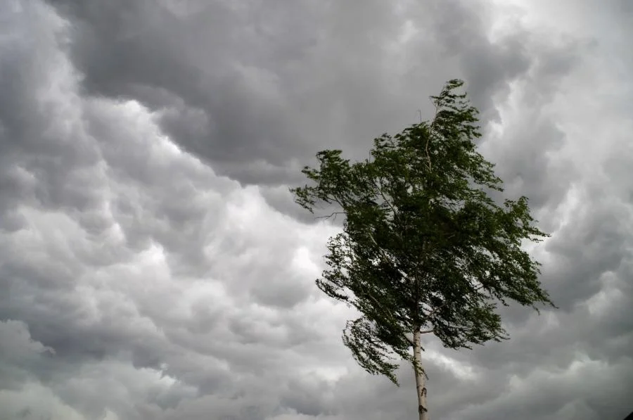 Bakıda hava küləkli keçəcək