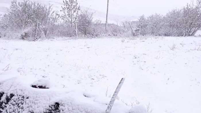 Şimal bölgəsində qarlı hava bu gün səngiyib VİDEO