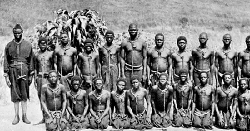 “Brüsseldəki ilk “insan zooparkı” heç də təsadüfi hadisə olmayıb”