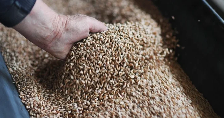 Армения готовится принять новые партии зерна через Азербайджан