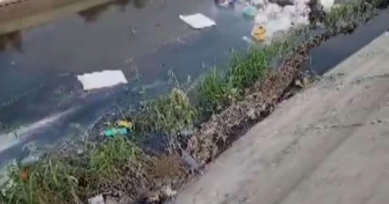Saray bağlarında antisanitar vəziyyət Samur Abşeron kanalın üfunət bürüyüb VİDEO
