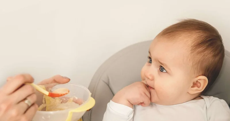 Körpələr üçün nəzərdə tutulmuş qida formullarına dair sanitariya norma və qaydaları təsdiqlənib