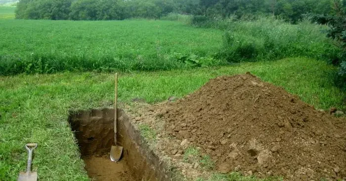 Gəlininin öldürdüyü qadının nəşi məzardan çıxarıldı VİDEO