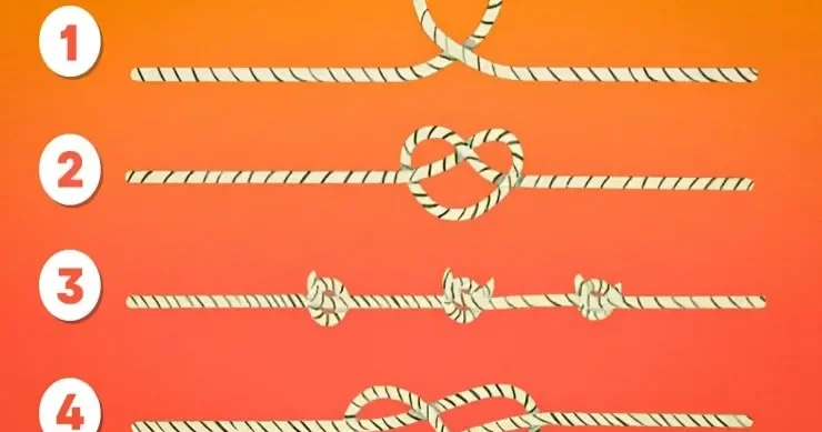 Ən uzun ipi yalnız ən ağıllılar tapa bilər: sürətli psixoloji TEST